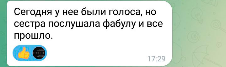 Фабула от параноидальной шизофрении, внутренних голосов и связанной с этим конфликтности